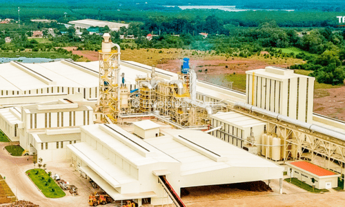 du an cua cong ty tnhh tama