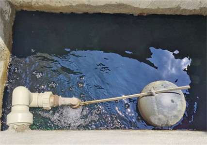 Nước bẩn ngấm vào bể chứa của chung cư khiến 59 người ngộ độc